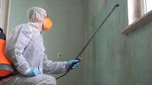 Professional Mold Inspection in Atoka, OK