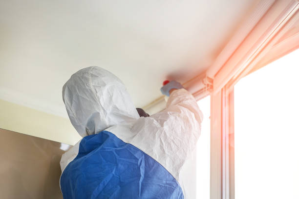 Best Emergency Mold Remediation  in Ata, OK