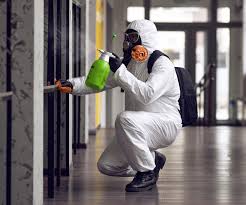 Best Residential Mold Inspection & Testing  in Ata, OK